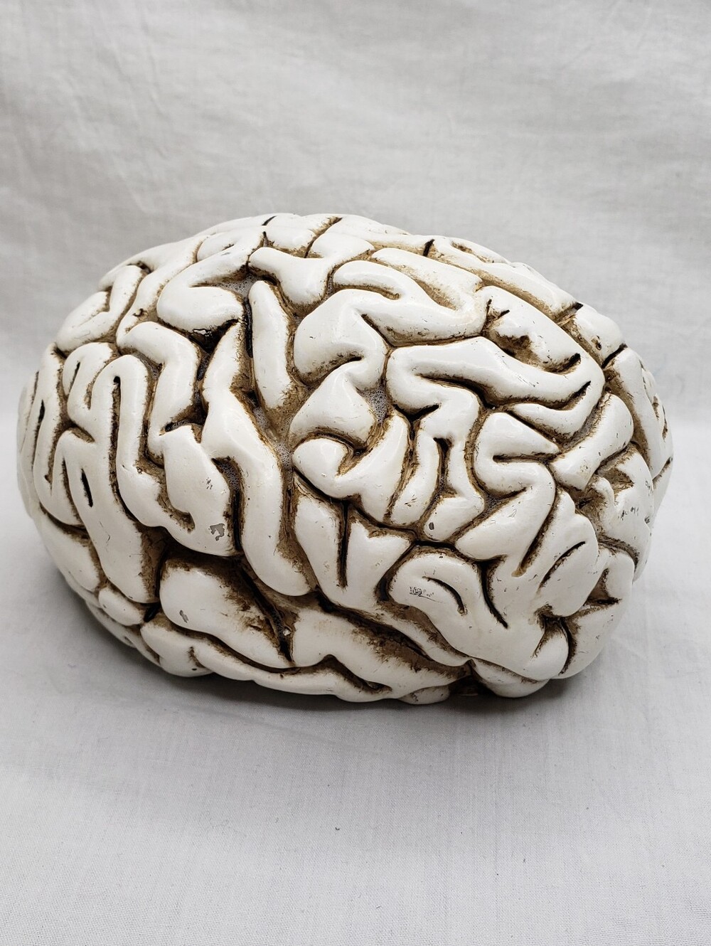 Ashland Halloween Brain Sculpture